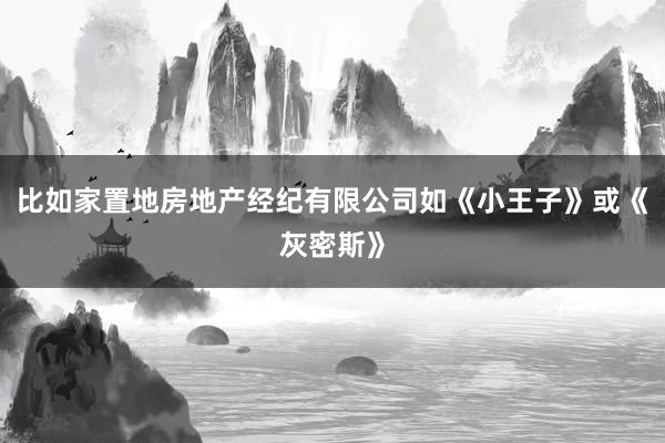 比如家置地房地产经纪有限公司如《小王子》或《灰密斯》
