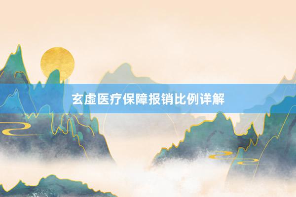 玄虚医疗保障报销比例详解
