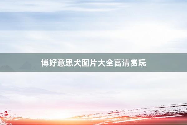 博好意思犬图片大全高清赏玩
