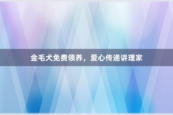 金毛犬免费领养，爱心传递讲理家