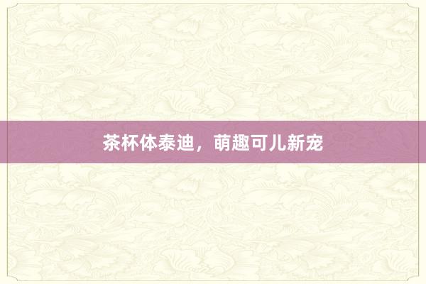 茶杯体泰迪，萌趣可儿新宠